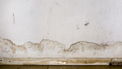 Your Trusted Experts for Plumbing Leaks in Your Home in Plum
